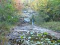Filename=ADK_Leaves_n_Waterfalls_018.jpg
Filesize=560KiB
Dimensions=2037x1529
Date added=Jul 18, 2010 ADK_Leaves_n_Waterfalls_018.jpg