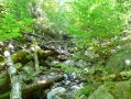 Filename=ADK_Leaves_n_Waterfalls_069.jpg
Filesize=487KiB
Dimensions=2037x1529
Date added=Jul 18, 2010 ADK_Leaves_n_Waterfalls_069.jpg