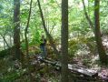 Filename=ADK_Leaves_n_Waterfalls_076.jpg
Filesize=585KiB
Dimensions=2037x1529
Date added=Jul 18, 2010 ADK_Leaves_n_Waterfalls_076.jpg