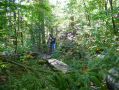 Filename=ADK_Leaves_n_Waterfalls_098.jpg
Filesize=589KiB
Dimensions=2037x1529
Date added=Jul 18, 2010 ADK_Leaves_n_Waterfalls_098.jpg