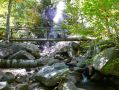 Filename=ADK_Leaves_n_Waterfalls_113.jpg
Filesize=515KiB
Dimensions=2037x1529
Date added=Jul 18, 2010 ADK_Leaves_n_Waterfalls_113.jpg