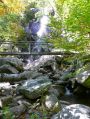 Filename=ADK_Leaves_n_Waterfalls_114.jpg
Filesize=541KiB
Dimensions=1529x2037
Date added=Jul 18, 2010 ADK_Leaves_n_Waterfalls_114.jpg