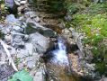 Filename=ADK_Leaves_n_Waterfalls_117.jpg
Filesize=495KiB
Dimensions=2037x1529
Date added=Jul 18, 2010 ADK_Leaves_n_Waterfalls_117.jpg