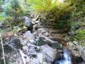 Filename=ADK_Leaves_n_Waterfalls_118.jpg
Filesize=563KiB
Dimensions=2037x1529
Date added=Jul 18, 2010 ADK_Leaves_n_Waterfalls_118.jpg