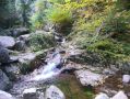 Filename=ADK_Leaves_n_Waterfalls_127.jpg
Filesize=526KiB
Dimensions=2037x1529
Date added=Jul 18, 2010 ADK_Leaves_n_Waterfalls_127.jpg