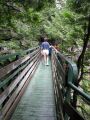 Filename=AuSable_Chasm_08_104.JPG
Filesize=666KiB
Dimensions=1536x2048
Date added=Jul 18, 2010 AuSable_Chasm_08_104.JPG