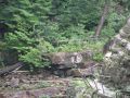 Filename=AuSable_Chasm_08_108.JPG
Filesize=650KiB
Dimensions=2048x1536
Date added=Jul 18, 2010 AuSable_Chasm_08_108.JPG