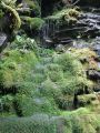 Filename=AuSable_Chasm_08_154.JPG
Filesize=855KiB
Dimensions=1536x2048
Date added=Jul 18, 2010 AuSable_Chasm_08_154.JPG