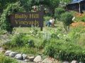 Filename=BullyHill_July_7_2007_5.JPG
Filesize=748KiB
Dimensions=2048x1536
Date added=Jul 18, 2010 BullyHill_July_7_2007_5.JPG