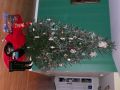Filename=Christmas_2007_073.JPG
Filesize=118KiB
Dimensions=1024x768
Date added=Jul 18, 2010 Christmas_2007_073.JPG